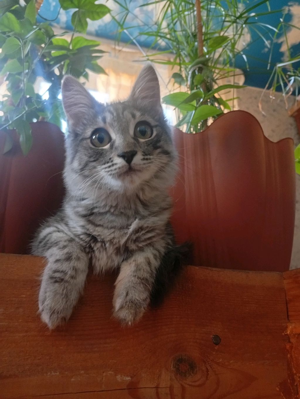 мини новости