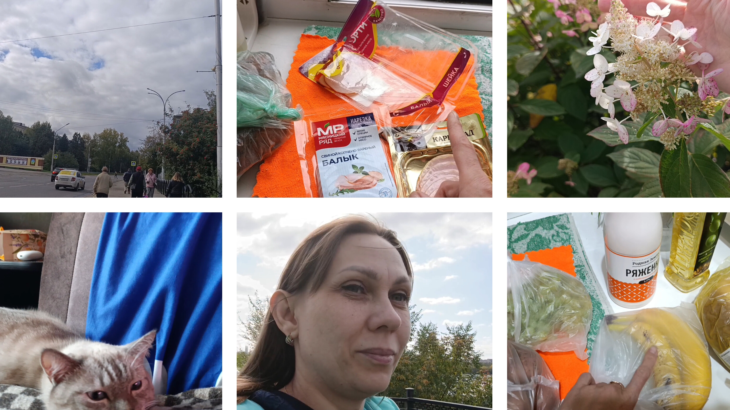 мой день рождения 🎉🎉🎉/ покупки 🛒🛒🛒🛒 🛍️🛍️🛍️🛍️🛍️🛍️🛍️🛍️🛍️