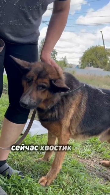 Брошенный на произвол | Эльбрус
