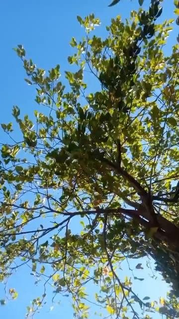 15.09.2025 #сегоднятак #природа #прырода #табиғ #自然 #natureza #natura #자연 #طبيعة #प्रकृति #nature