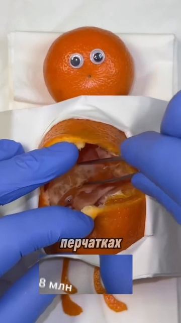 Самая странная идея рилс