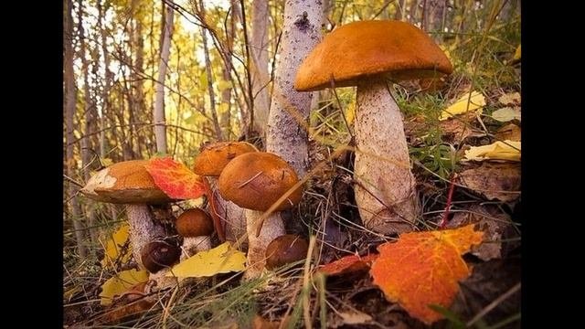 16 сентября. приметы и поверья