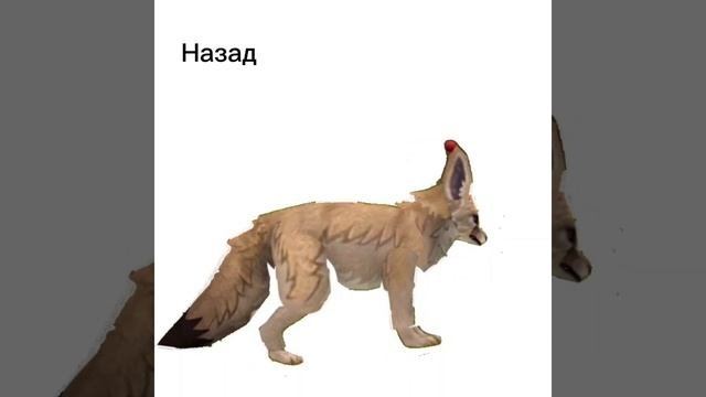 Тест:анимация ходьбы пж не судите строго первый раз делаю ходьбу 