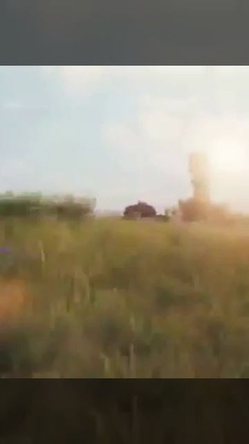 Новинки из Ваффентрагер