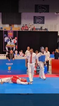 Hamburg 2025 Нокаут