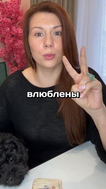 МИЛЛИОНЫ НА ТАРО