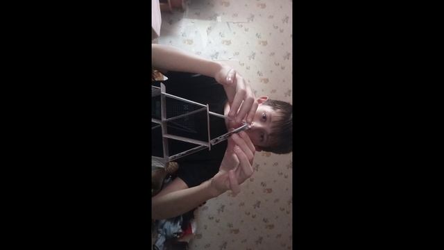 карточный домик