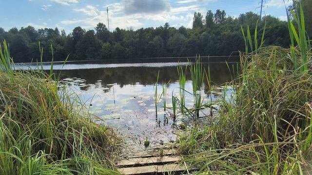Новоталицкое вдхр. ч.2. Сентябрь 2025