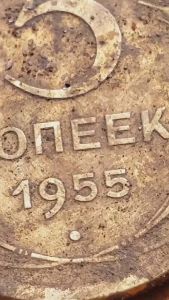 Нашёл 5 копеек 1955 года.