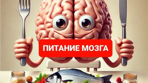 питание мозга