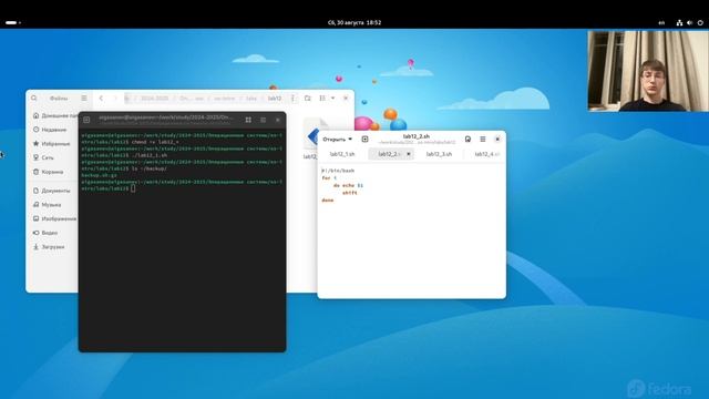 Лабораторная работа 12