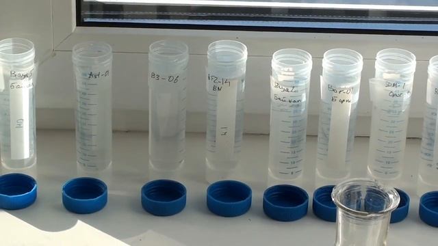 Bbs2015MarchVMayorov