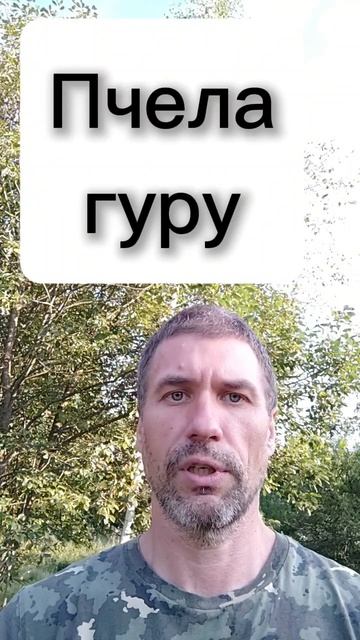 2025-09-15 Авадхута и пчела гуру. Рамакришна. Притчи и истории.