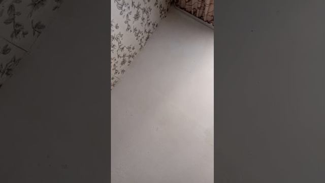 тат