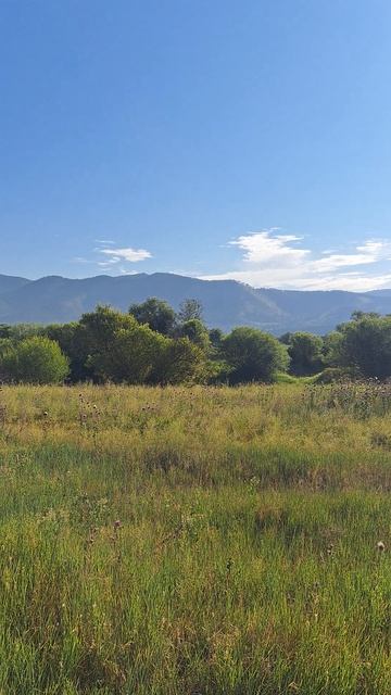 В окрестностях села Сотниково, ну и так же горные хребты