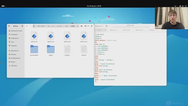 Лабораторная работа 13