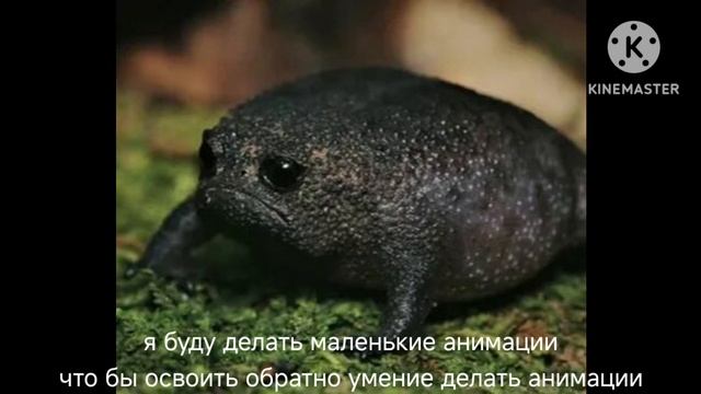 смотреть всем!!!