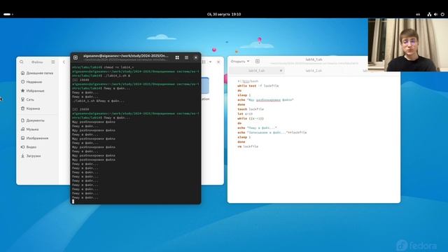 Лабораторная работа 14