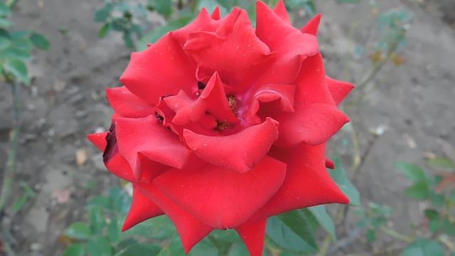 05=09=2025  Ю   КМР  (22)