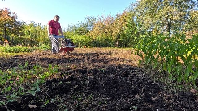 Правозащитник юрист пахарь тракторист