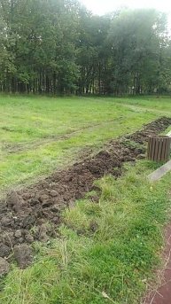 Оформили клумбы