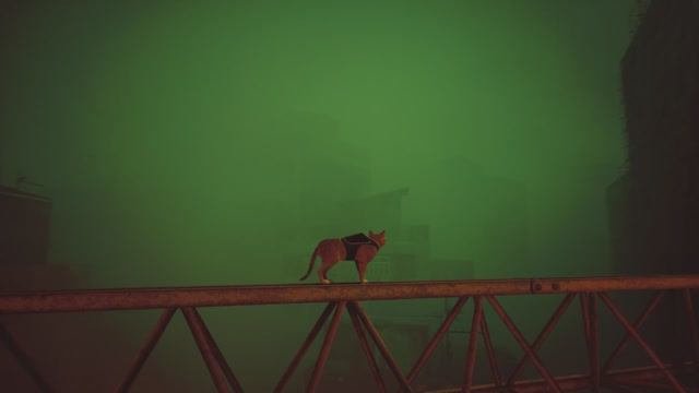 Stray. Крыши. Часть 8