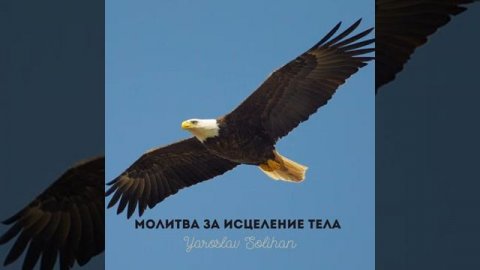 ИСЦЕЛЕНИЕ по молитве в ВЕРЕ!