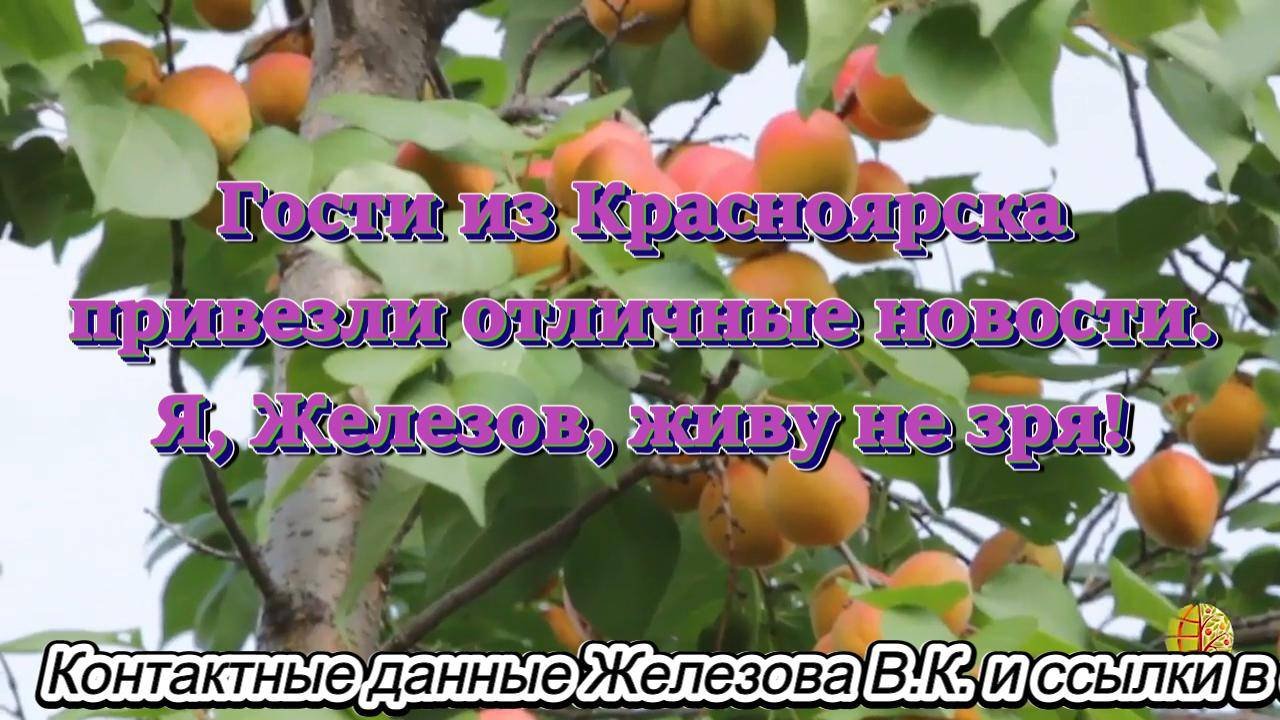 Гости из Красноярска привезли отличные новости. Я Железов живу не зря!