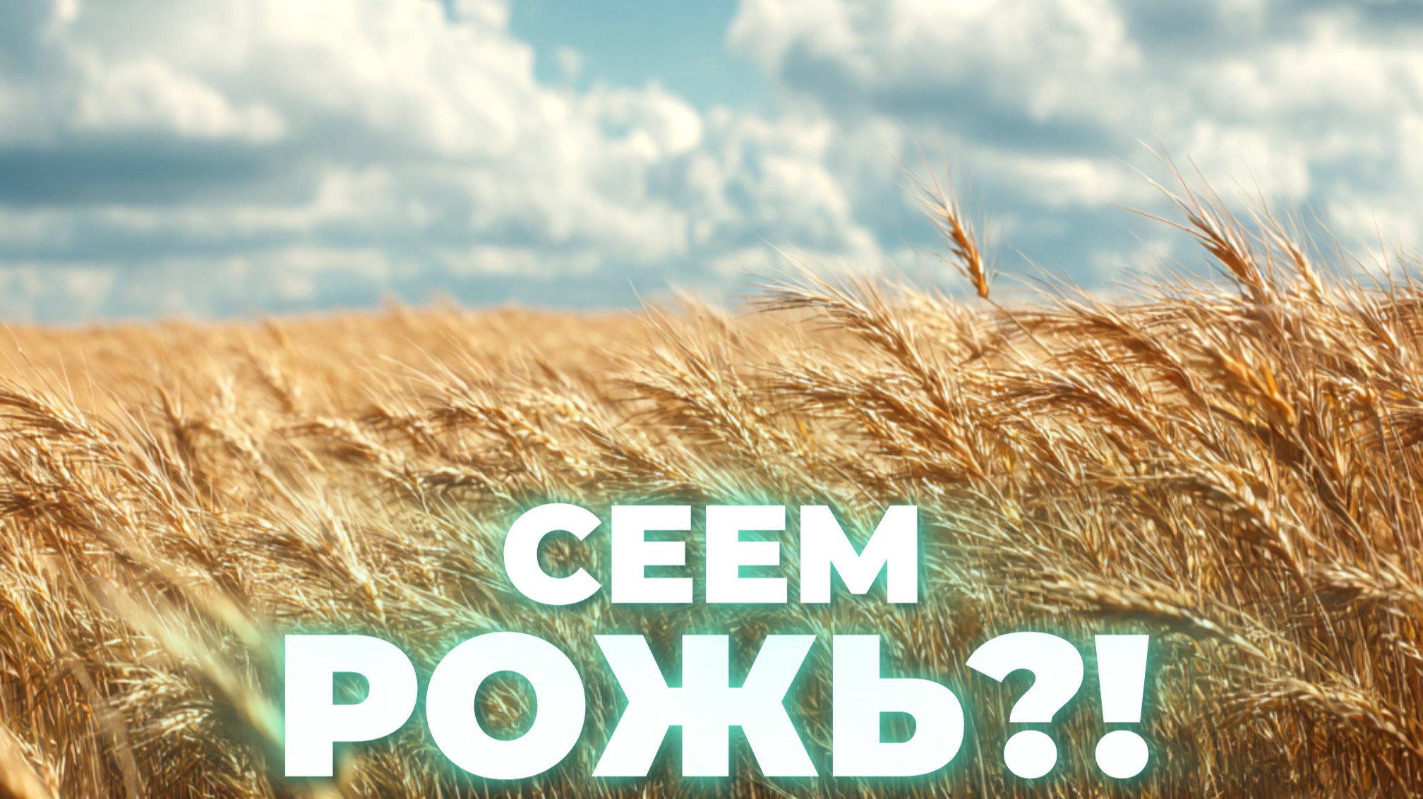 Рожь в России и мире: кризис, анализ и будущие перспективы