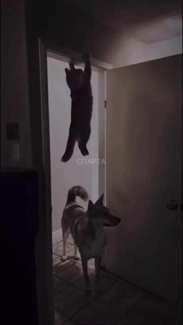 Не куда бежать.