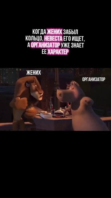 Когда невеста зла - каждый сам за себя