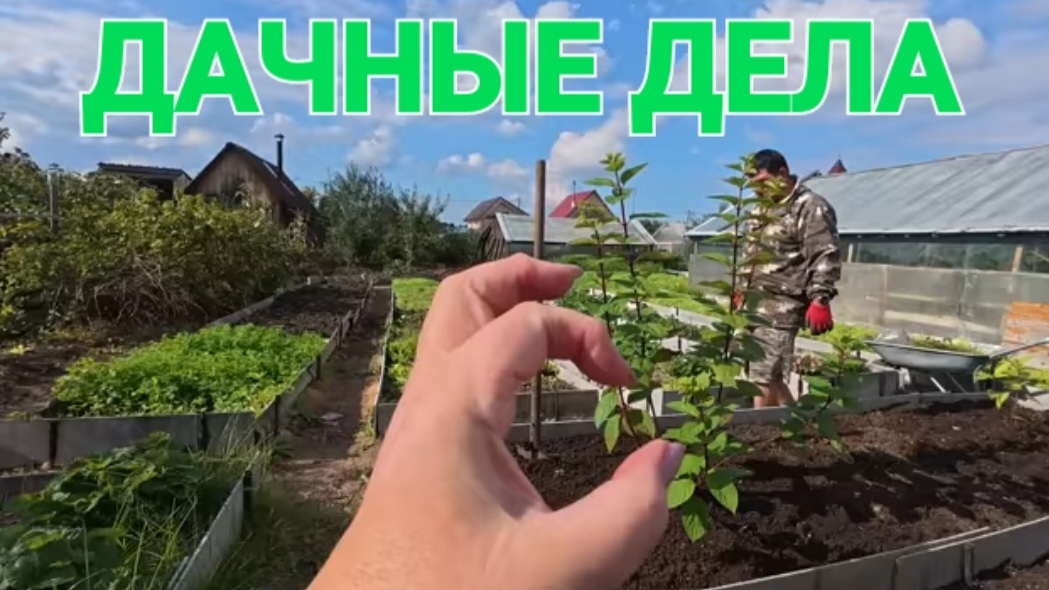 Обзор от 16сентября 2025г. Мы на дачу едем, не спеша...