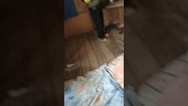 старая дача