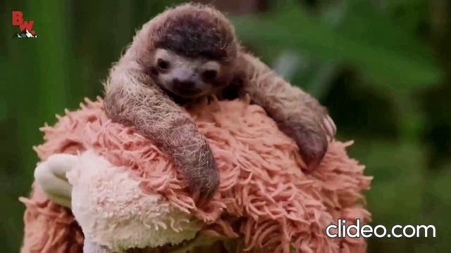 Л е н и в е ц