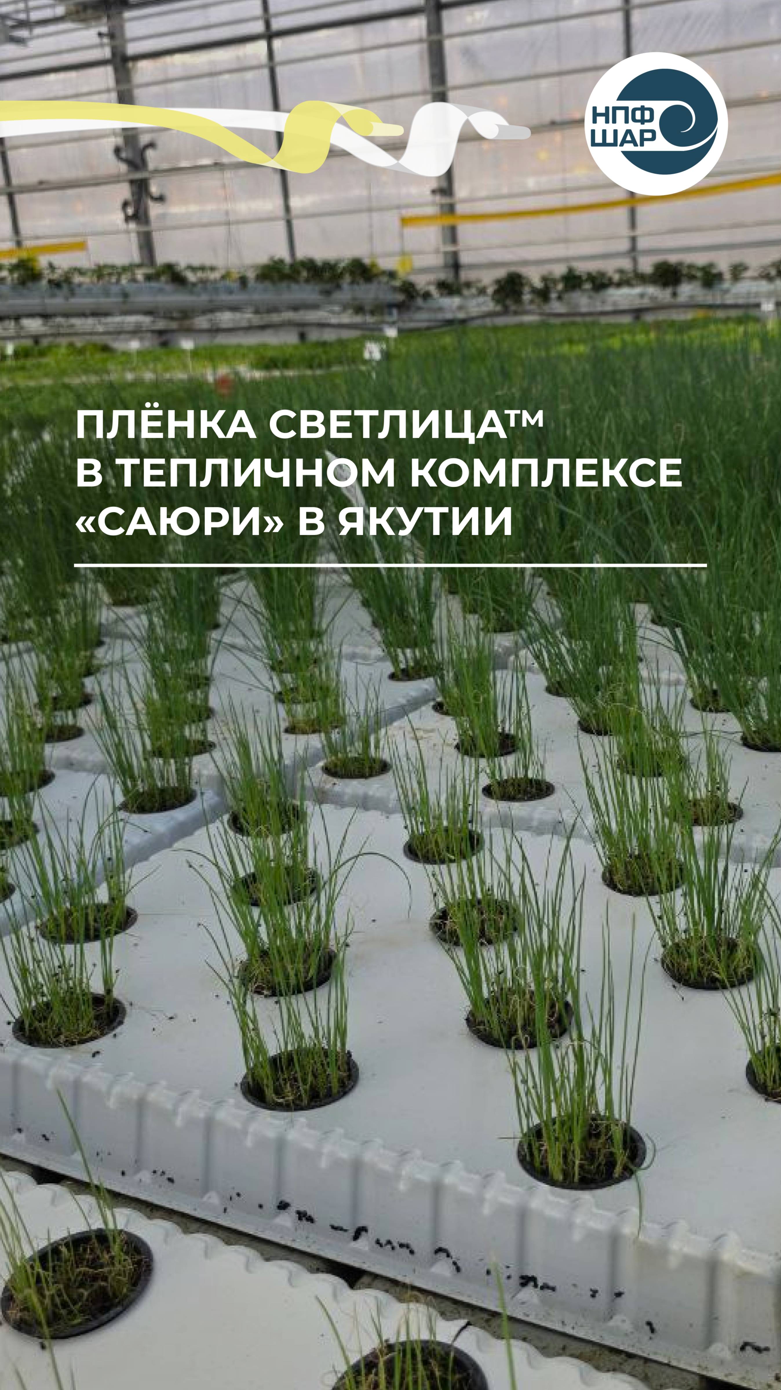 Применение плёнки СВЕТЛИЦА™ в Якутии ⚒️🌤️