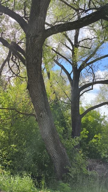 Всем мира и добра.Пис