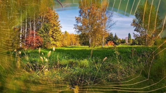Бабье лето, сл. В. Шентала, муз. и исп. Е. Чичерина