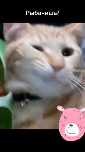 Я устал но голоден