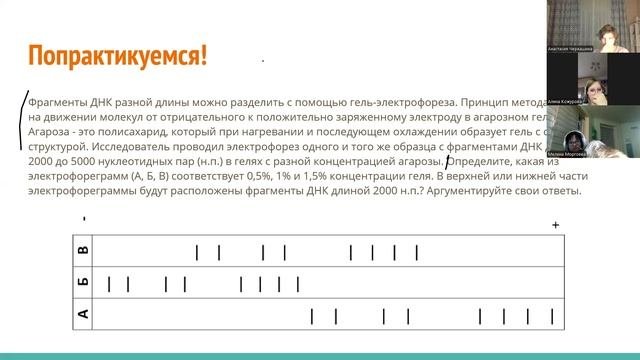 Нуклеиновые кислоты 15.09.25