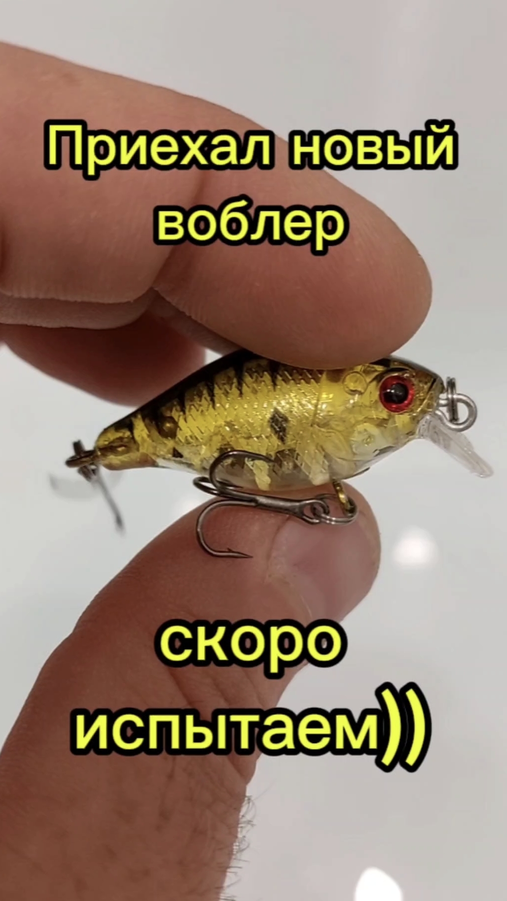 Приехал новый воблер. Скоро испытаем!