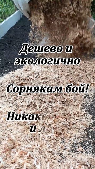 Садовые дорожки. Что может быть проще!?