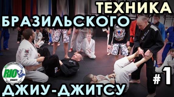Техника Бразильского Джиу-джитсу: семинар Мишеля Ван Райта – 1.