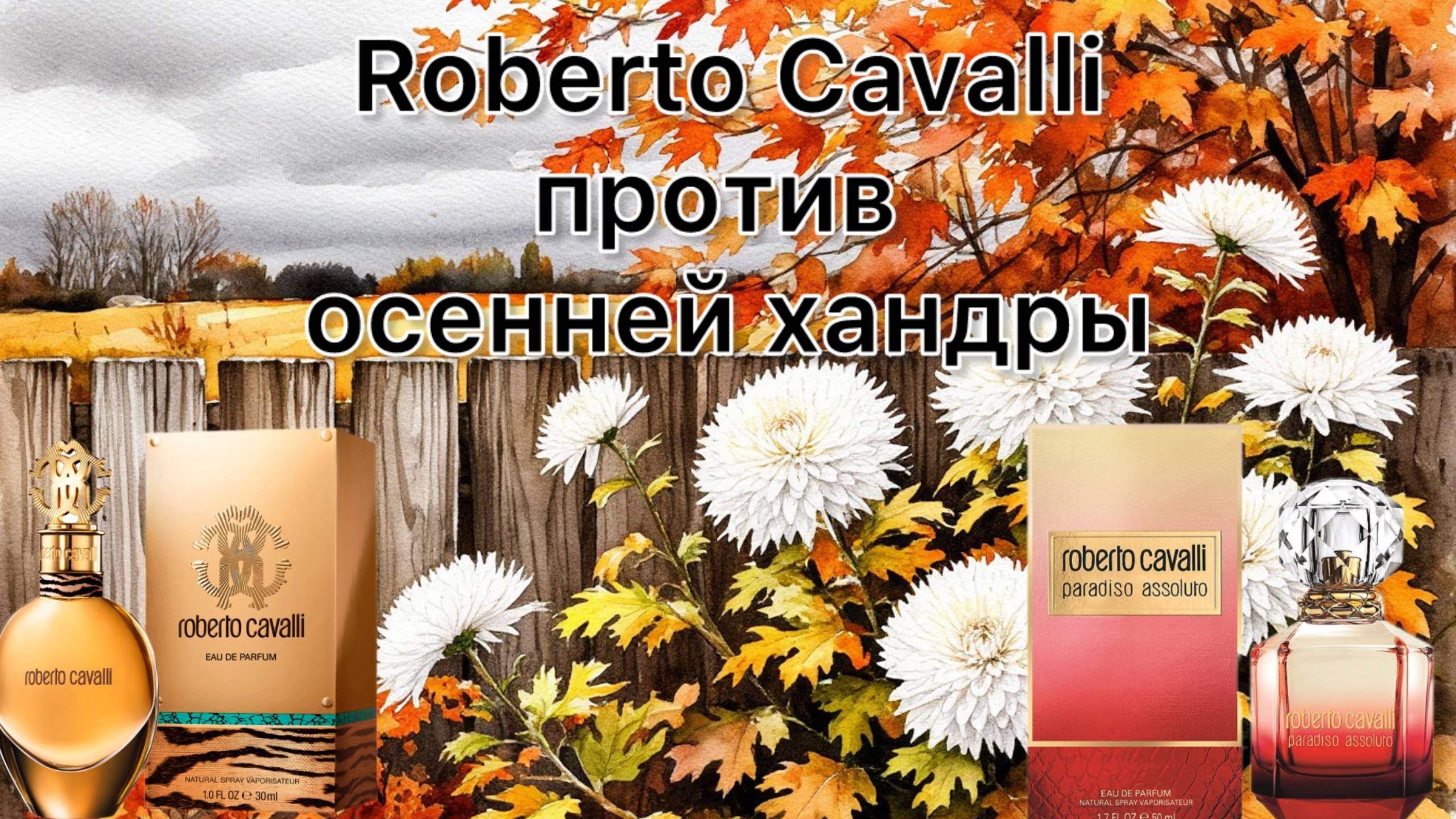 Roberto Cavalli против осенней хандры. История про мой якорек.