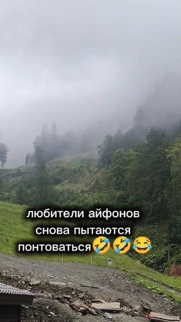 Яблочники, поешьте морковь - помогает для зрения🤓