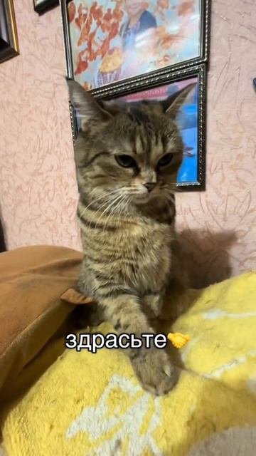 здравствуйте