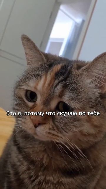 1000009290.mp4