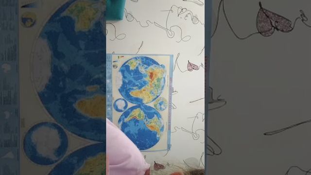 норт