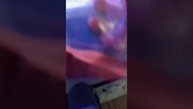 1000120680.mp4