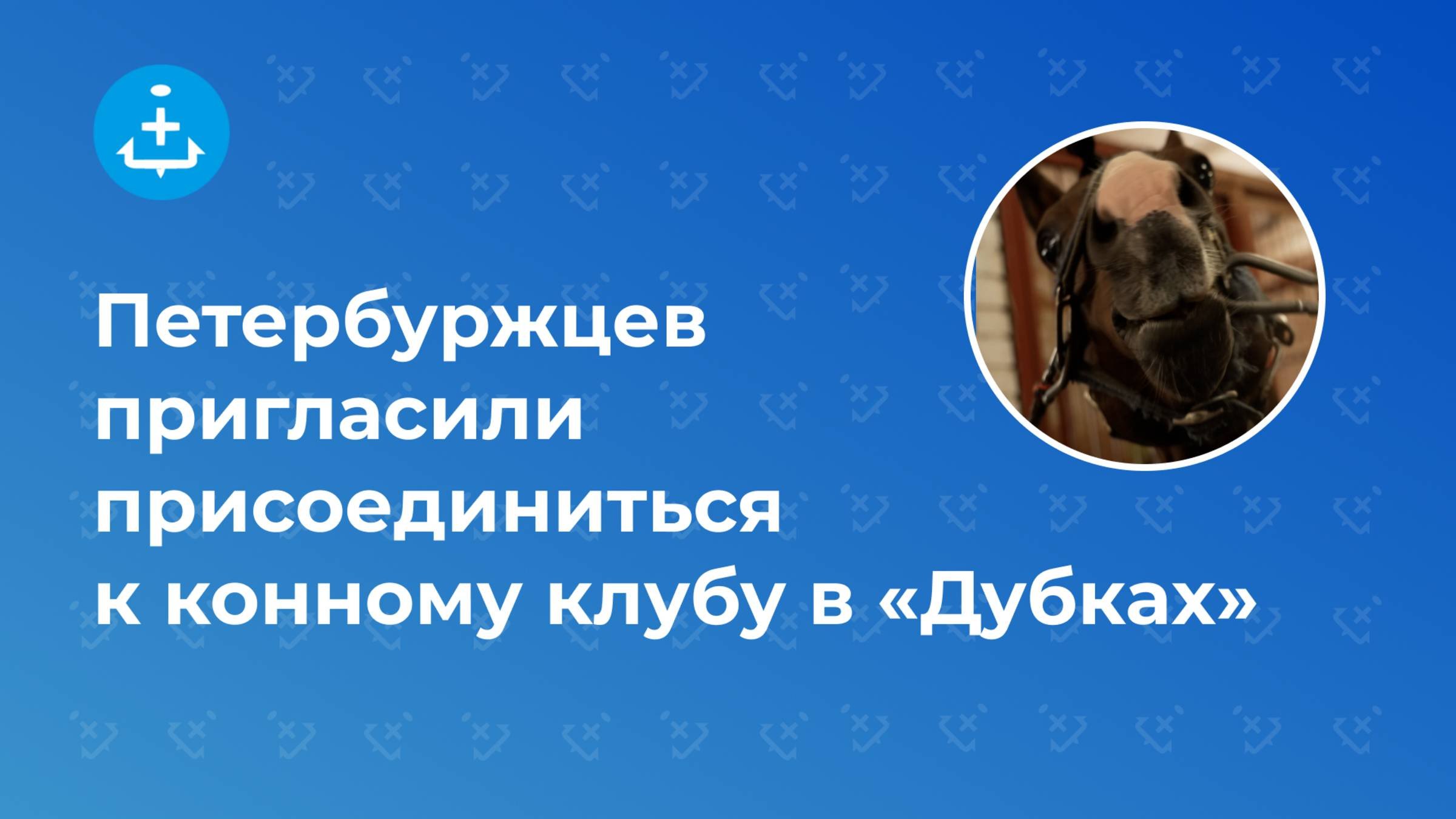 Петербуржцев пригласили присоединиться к конному клубу в «Дубках»