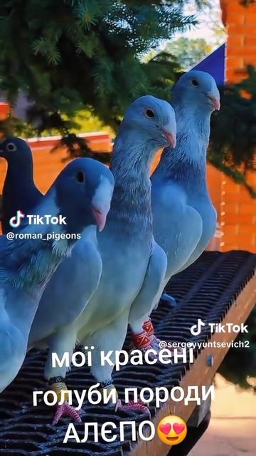 1000009630.mp4